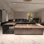 Curved Coffee Table with Natural Burl Veneer and High-Gloss Finish